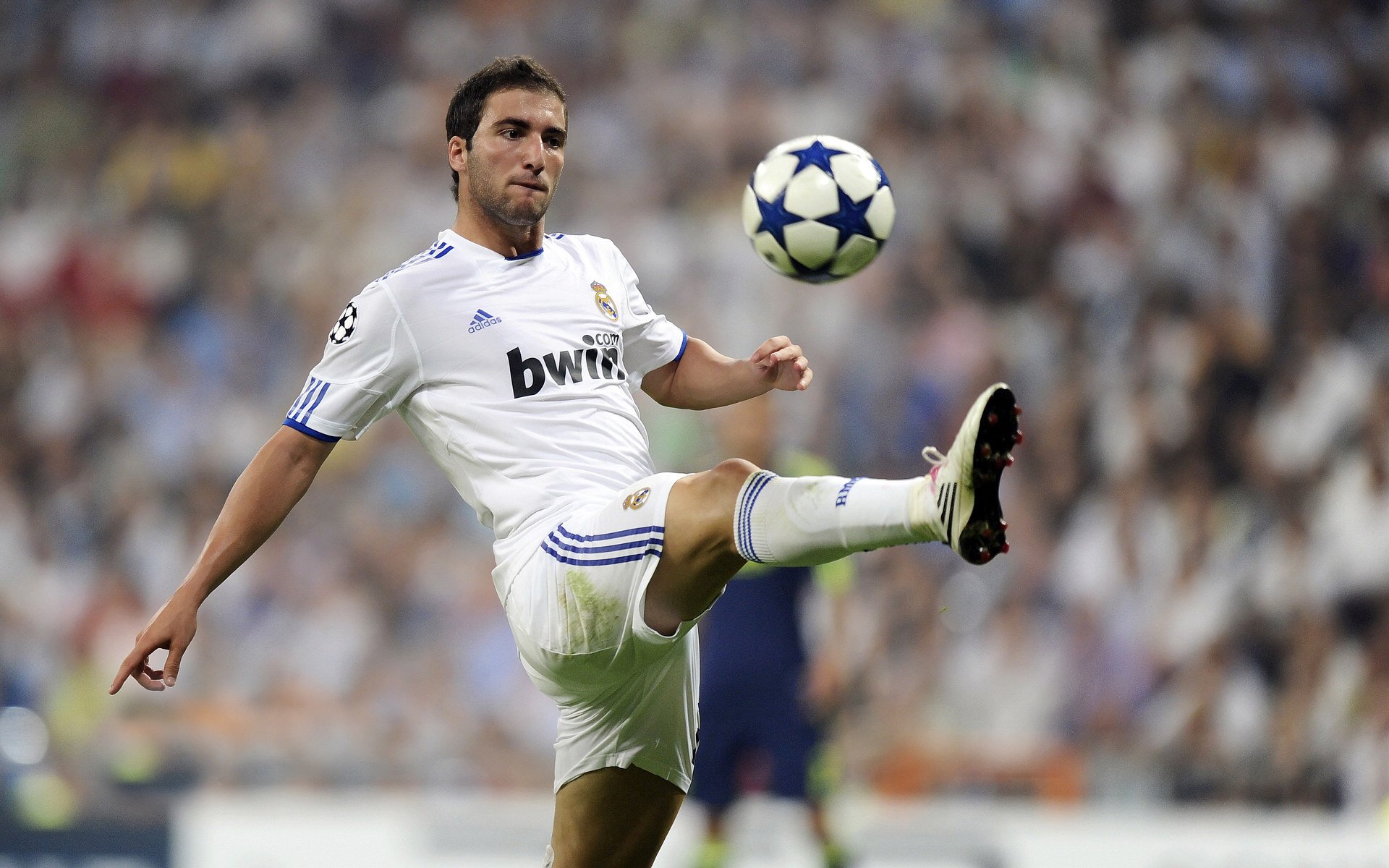 转会：皇马刚刚签下一名欧洲顶级中场，布局未来，皇马欧战